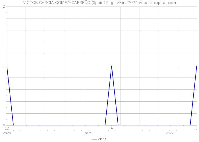 VICTOR GARCIA GOMEZ-CARREÑO (Spain) Page visits 2024 