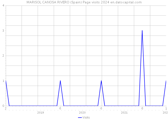 MARISOL CANOSA RIVERO (Spain) Page visits 2024 