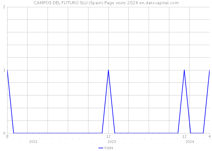 CAMPOS DEL FUTURO SLU (Spain) Page visits 2024 