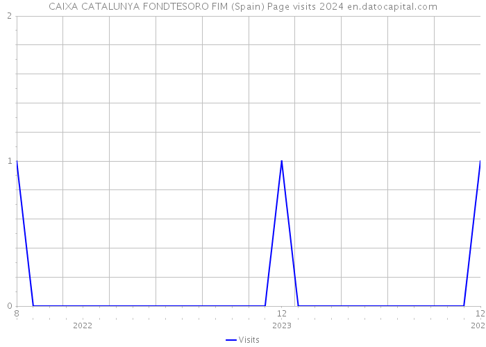 CAIXA CATALUNYA FONDTESORO FIM (Spain) Page visits 2024 