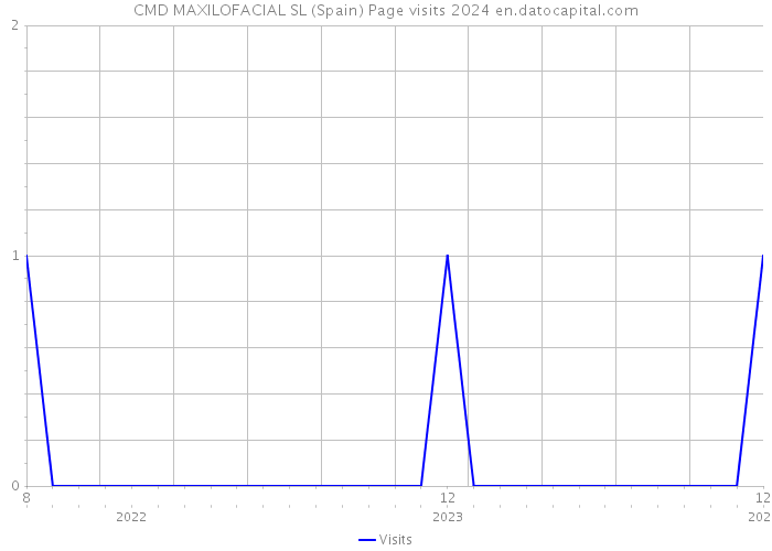 CMD MAXILOFACIAL SL (Spain) Page visits 2024 