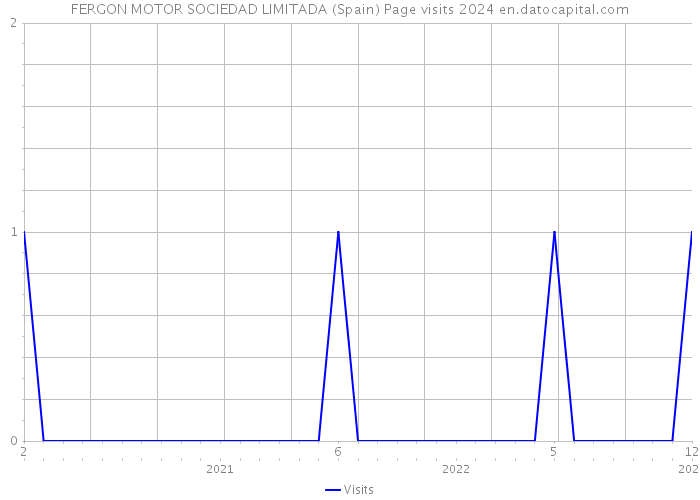FERGON MOTOR SOCIEDAD LIMITADA (Spain) Page visits 2024 