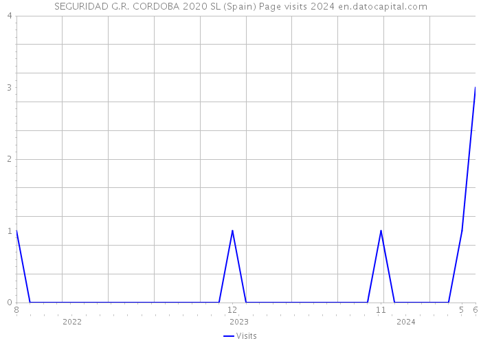 SEGURIDAD G.R. CORDOBA 2020 SL (Spain) Page visits 2024 