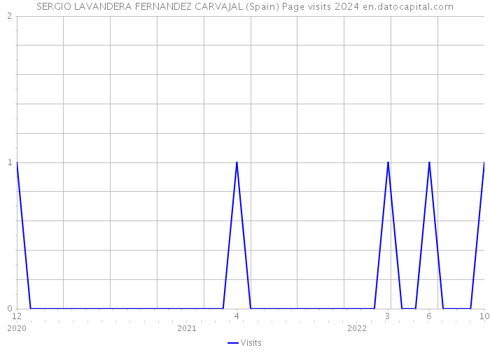 SERGIO LAVANDERA FERNANDEZ CARVAJAL (Spain) Page visits 2024 