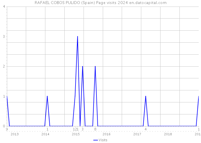 RAFAEL COBOS PULIDO (Spain) Page visits 2024 