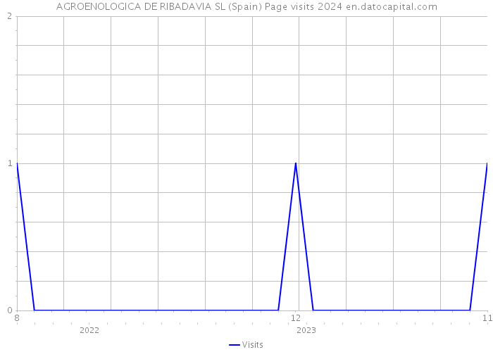 AGROENOLOGICA DE RIBADAVIA SL (Spain) Page visits 2024 