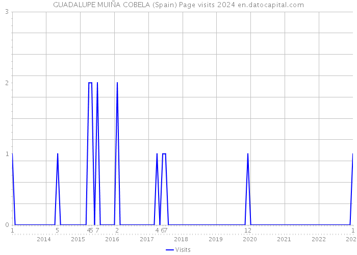 GUADALUPE MUIÑA COBELA (Spain) Page visits 2024 