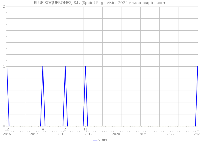 BLUE BOQUERONES, S.L. (Spain) Page visits 2024 
