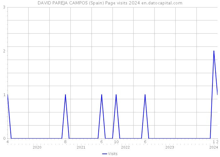 DAVID PAREJA CAMPOS (Spain) Page visits 2024 