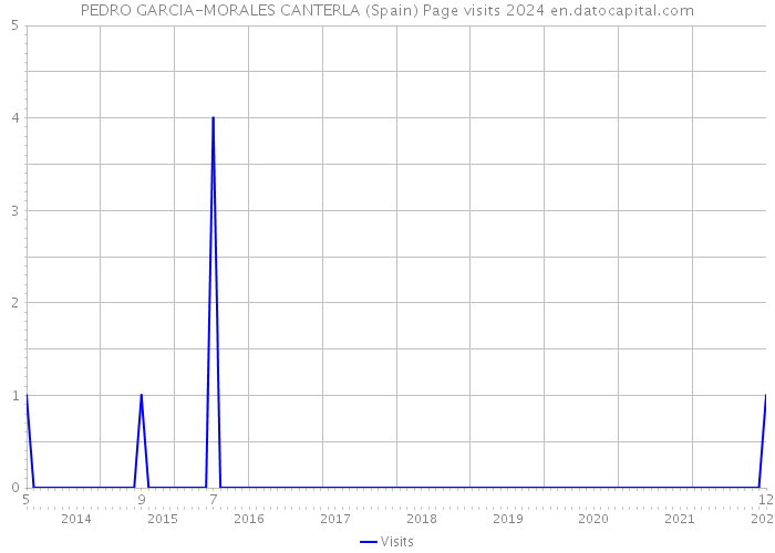 PEDRO GARCIA-MORALES CANTERLA (Spain) Page visits 2024 