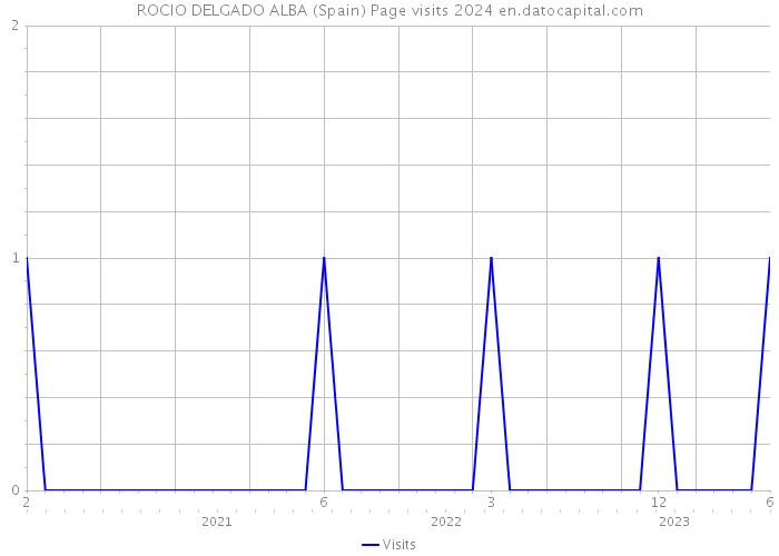 ROCIO DELGADO ALBA (Spain) Page visits 2024 