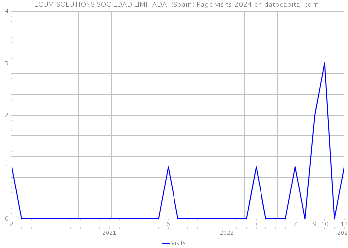 TECUM SOLUTIONS SOCIEDAD LIMITADA. (Spain) Page visits 2024 