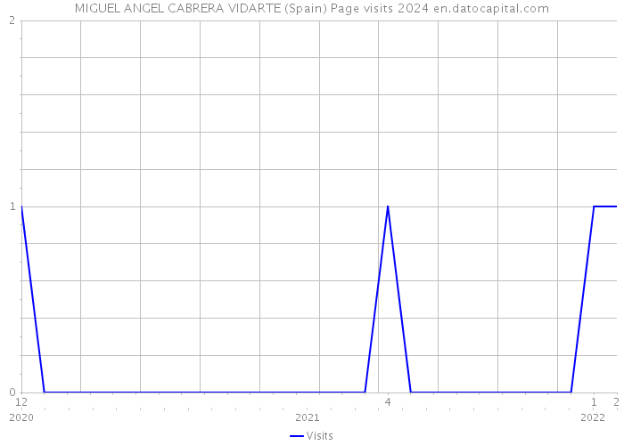 MIGUEL ANGEL CABRERA VIDARTE (Spain) Page visits 2024 
