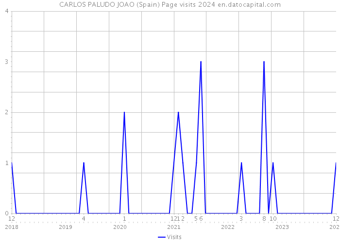 CARLOS PALUDO JOAO (Spain) Page visits 2024 