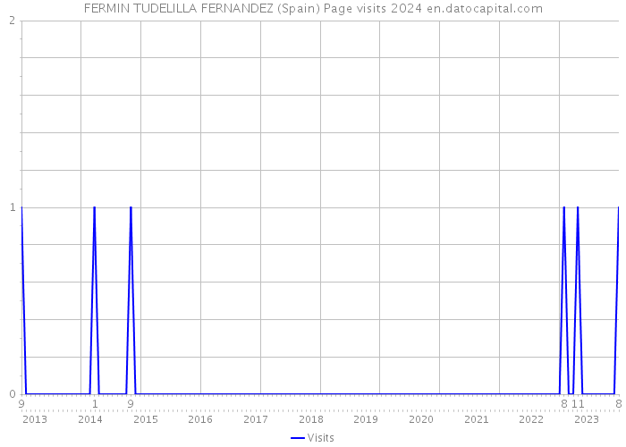 FERMIN TUDELILLA FERNANDEZ (Spain) Page visits 2024 