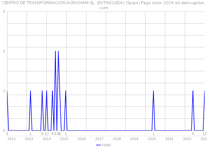 CENTRO DE TRANSFORMACION AGRICHAM SL. (EXTINGUIDA) (Spain) Page visits 2024 