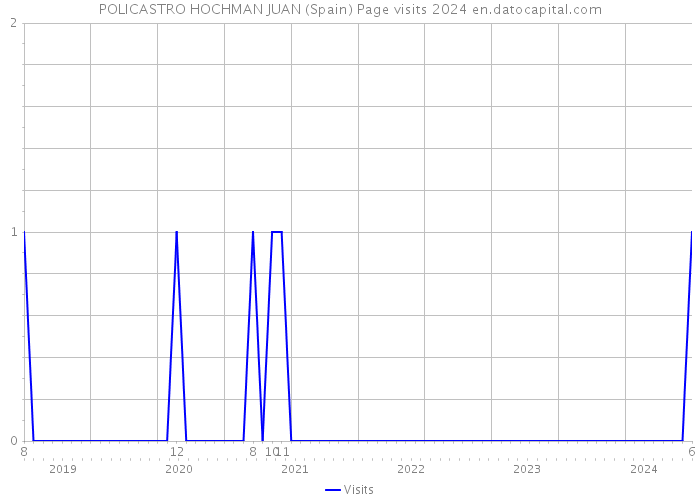 POLICASTRO HOCHMAN JUAN (Spain) Page visits 2024 