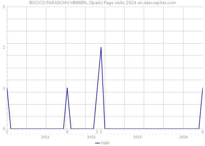 BOCICO PARASCHIV HEIMERL (Spain) Page visits 2024 