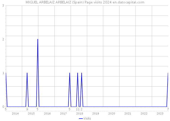 MIGUEL ARBELAIZ ARBELAIZ (Spain) Page visits 2024 