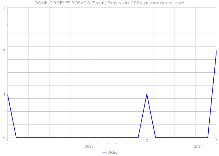 DOMINGO REYES ROSADO (Spain) Page visits 2024 