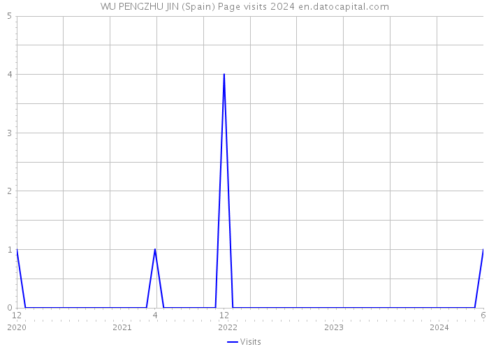 WU PENGZHU JIN (Spain) Page visits 2024 