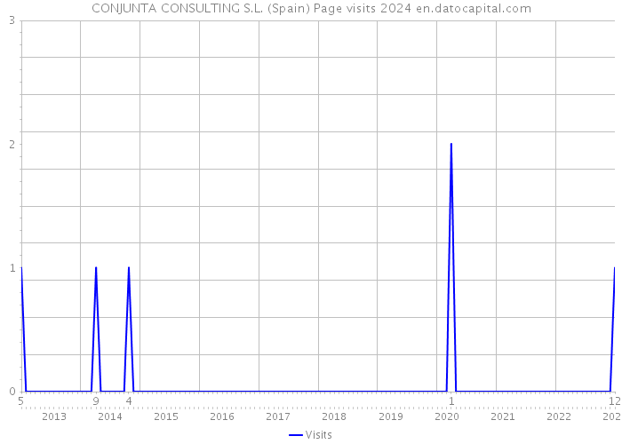CONJUNTA CONSULTING S.L. (Spain) Page visits 2024 