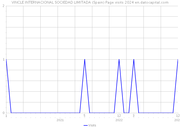 VINCLE INTERNACIONAL SOCIEDAD LIMITADA (Spain) Page visits 2024 