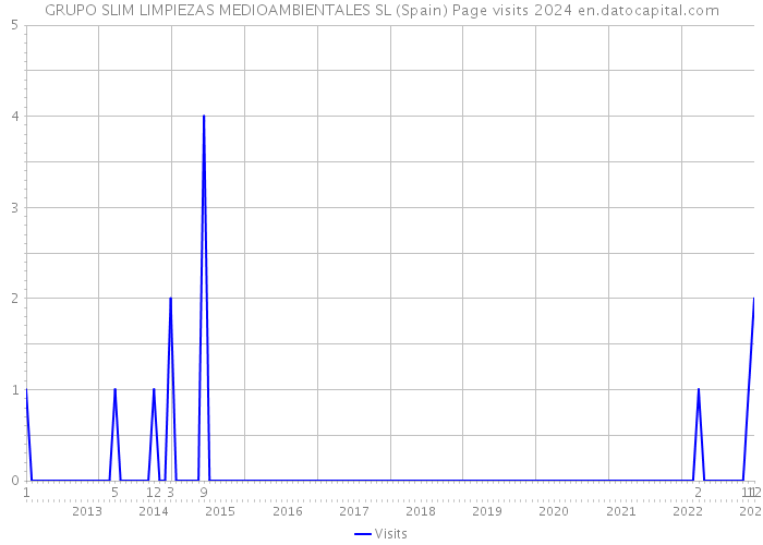 GRUPO SLIM LIMPIEZAS MEDIOAMBIENTALES SL (Spain) Page visits 2024 