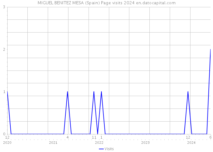 MIGUEL BENITEZ MESA (Spain) Page visits 2024 