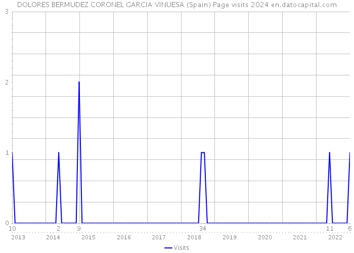 DOLORES BERMUDEZ CORONEL GARCIA VINUESA (Spain) Page visits 2024 