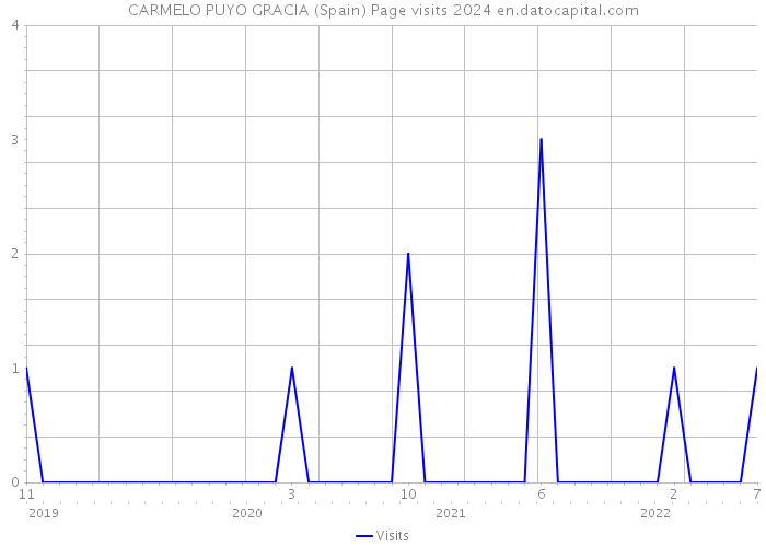 CARMELO PUYO GRACIA (Spain) Page visits 2024 