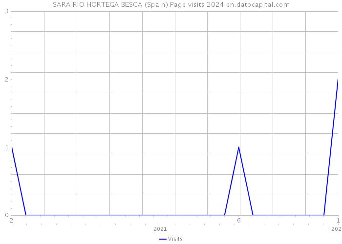 SARA RIO HORTEGA BESGA (Spain) Page visits 2024 