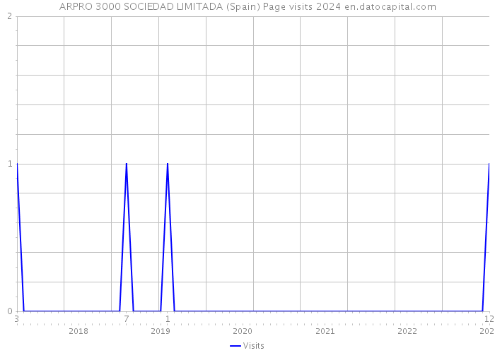 ARPRO 3000 SOCIEDAD LIMITADA (Spain) Page visits 2024 