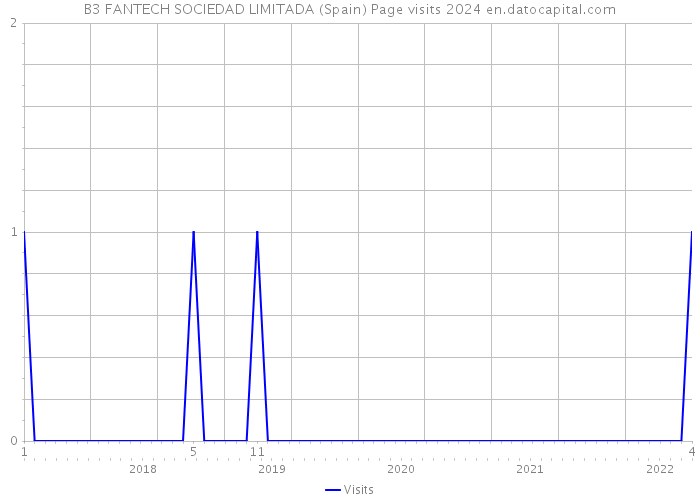 B3 FANTECH SOCIEDAD LIMITADA (Spain) Page visits 2024 