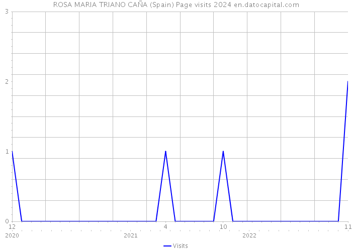 ROSA MARIA TRIANO CAÑA (Spain) Page visits 2024 