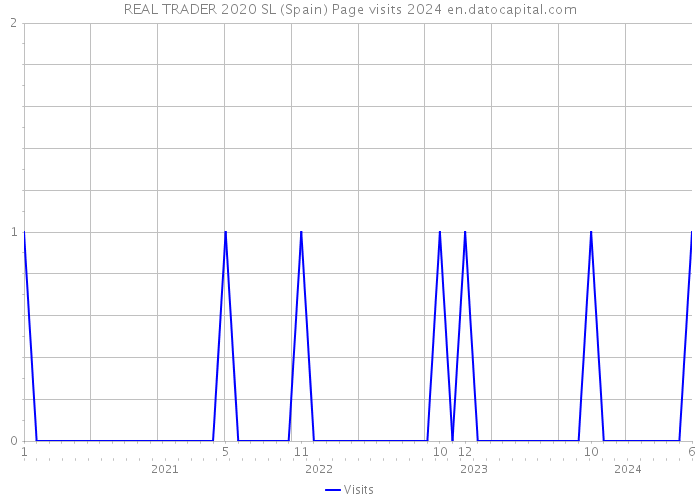 REAL TRADER 2020 SL (Spain) Page visits 2024 