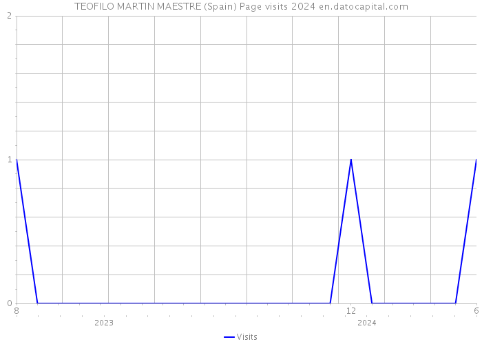 TEOFILO MARTIN MAESTRE (Spain) Page visits 2024 