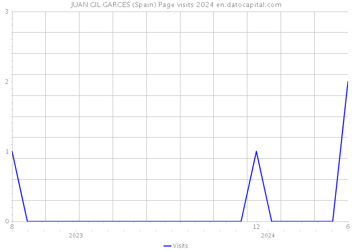 JUAN GIL GARCES (Spain) Page visits 2024 