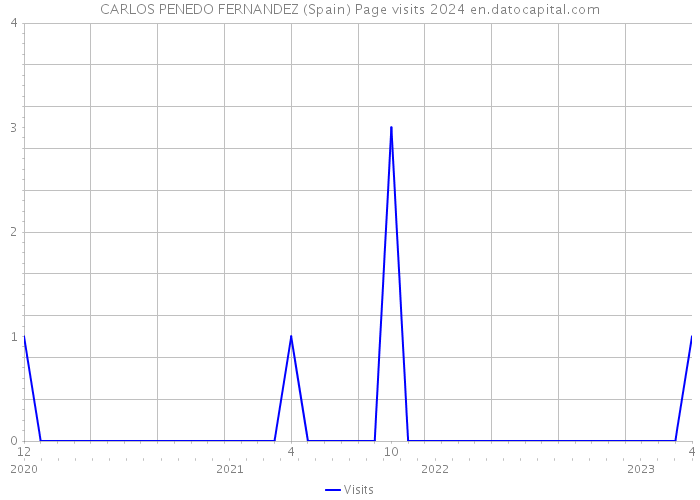 CARLOS PENEDO FERNANDEZ (Spain) Page visits 2024 