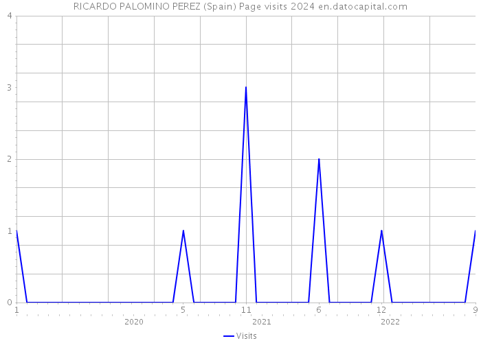 RICARDO PALOMINO PEREZ (Spain) Page visits 2024 