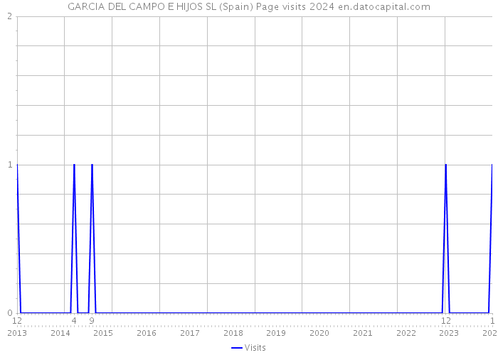 GARCIA DEL CAMPO E HIJOS SL (Spain) Page visits 2024 