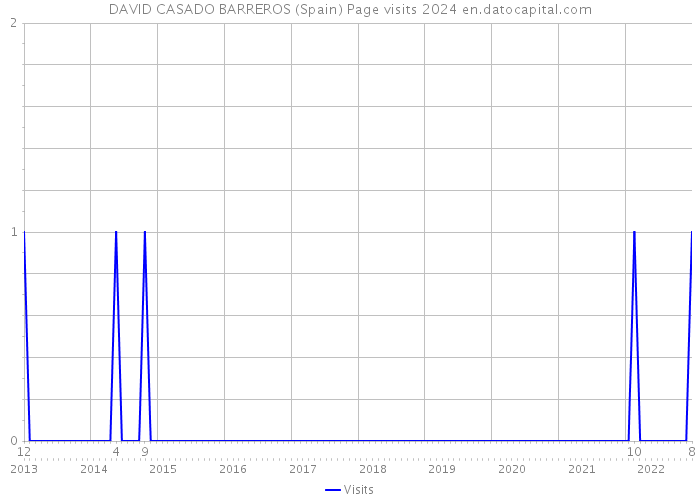 DAVID CASADO BARREROS (Spain) Page visits 2024 