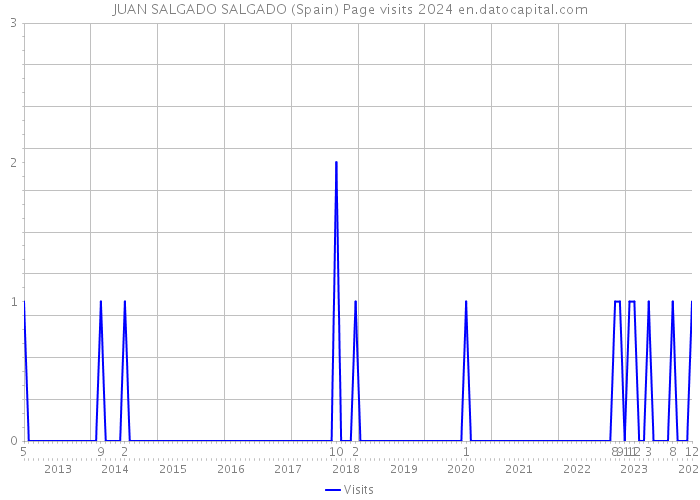 JUAN SALGADO SALGADO (Spain) Page visits 2024 