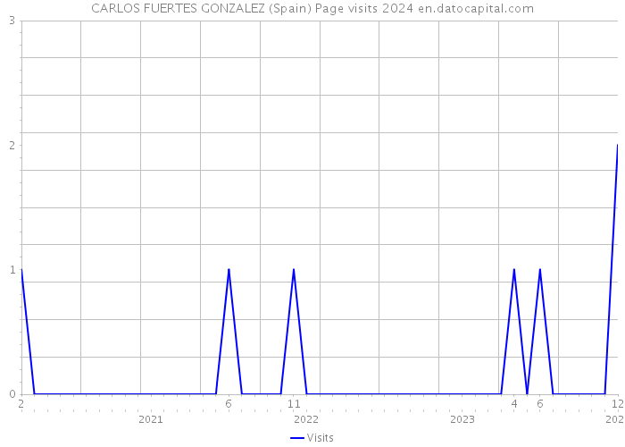 CARLOS FUERTES GONZALEZ (Spain) Page visits 2024 