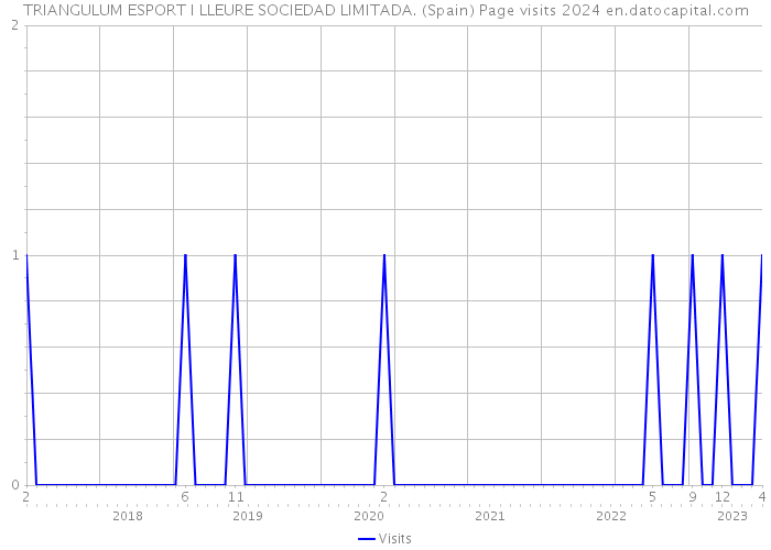 TRIANGULUM ESPORT I LLEURE SOCIEDAD LIMITADA. (Spain) Page visits 2024 