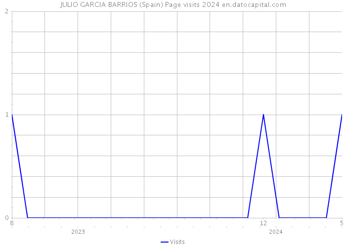 JULIO GARCIA BARRIOS (Spain) Page visits 2024 