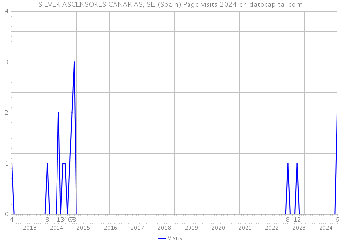 SILVER ASCENSORES CANARIAS, SL. (Spain) Page visits 2024 
