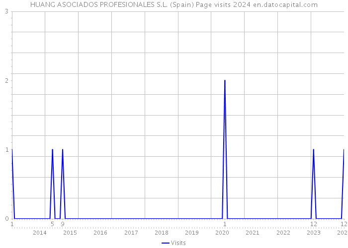 HUANG ASOCIADOS PROFESIONALES S.L. (Spain) Page visits 2024 