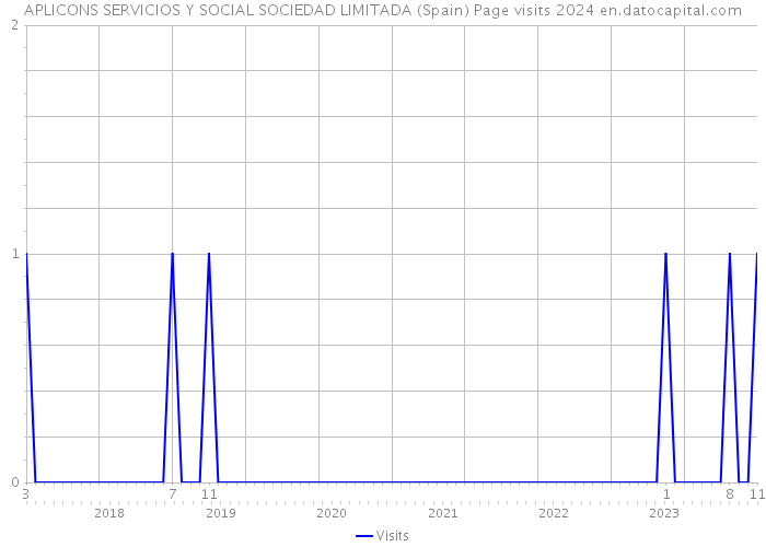 APLICONS SERVICIOS Y SOCIAL SOCIEDAD LIMITADA (Spain) Page visits 2024 