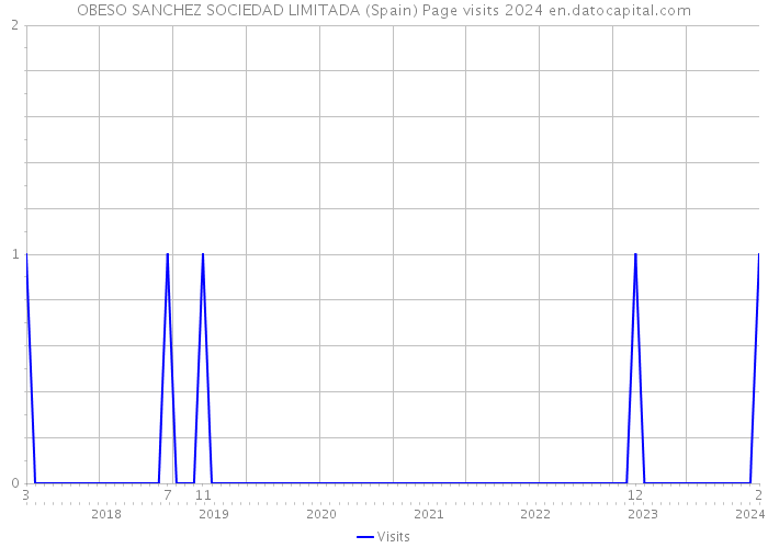 OBESO SANCHEZ SOCIEDAD LIMITADA (Spain) Page visits 2024 